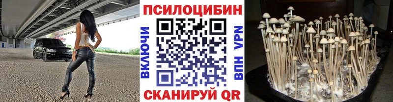 цена   Качканар  Галлюциногенные грибы Cubensis 
